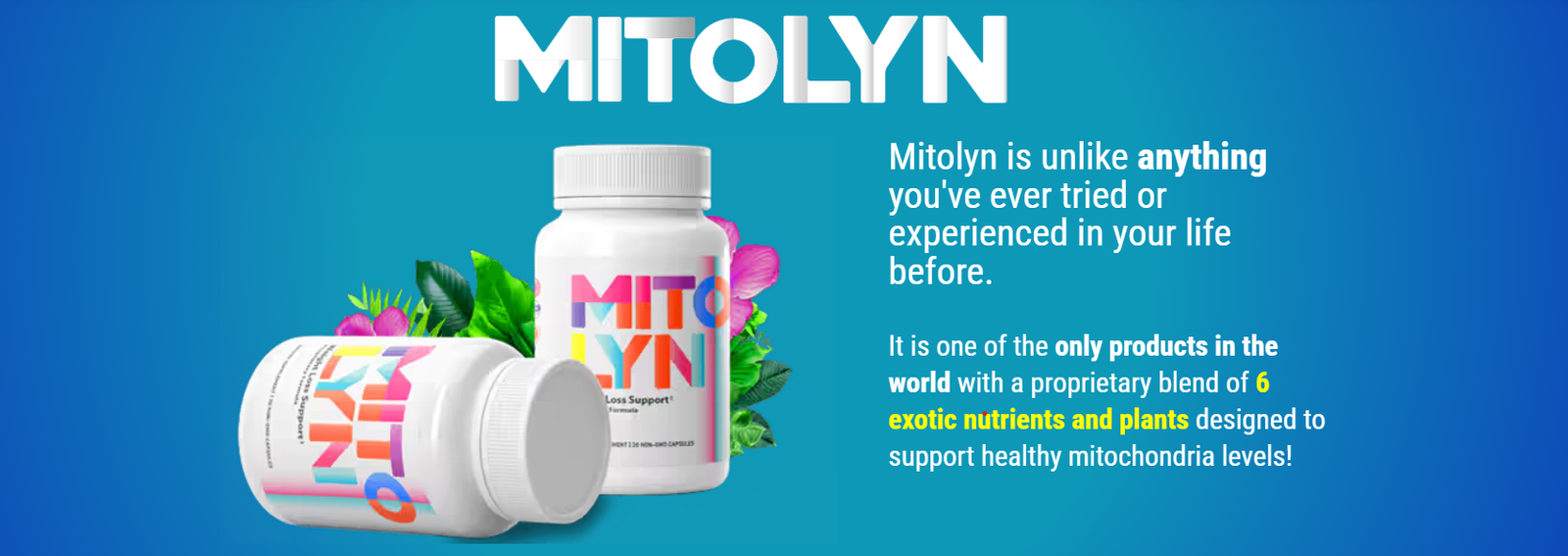 Mitolyn message